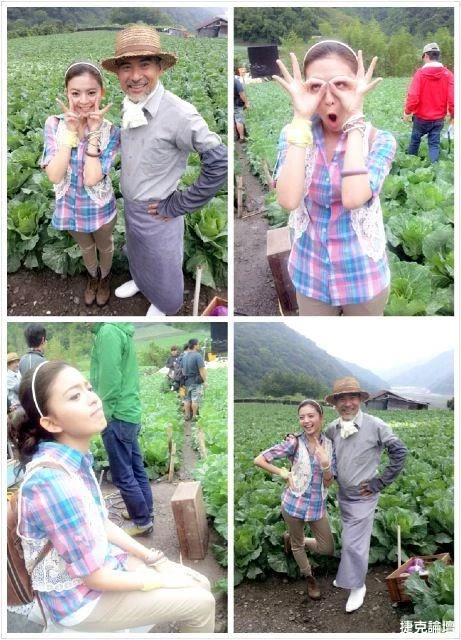 17274225.webp