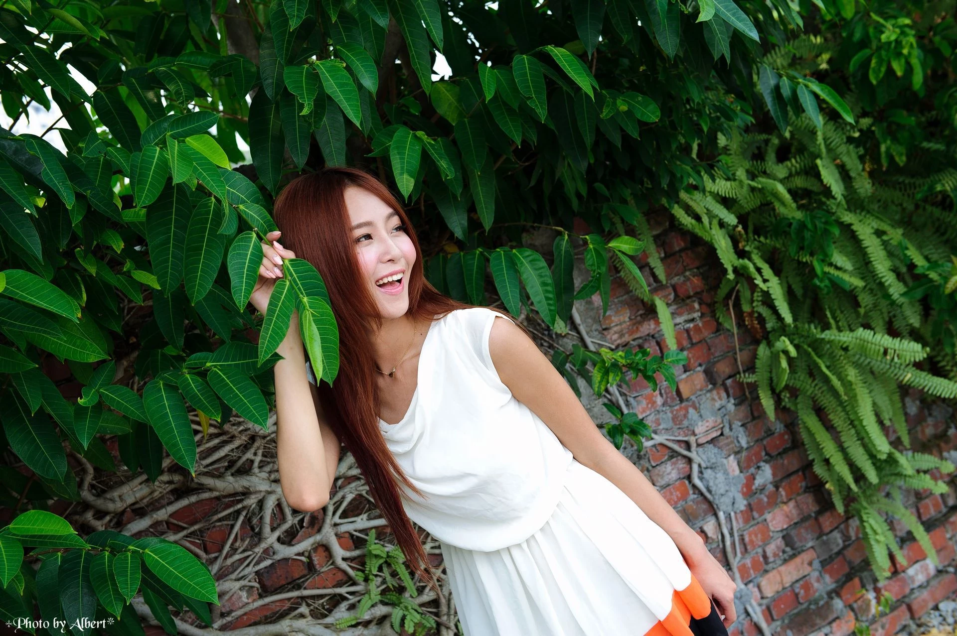 30742300.webp
