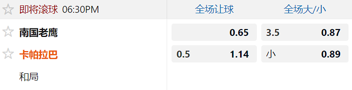 南国老鹰.png