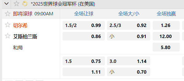 切尔西.png