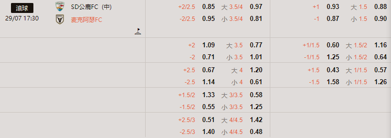 澳大利亚杯.png