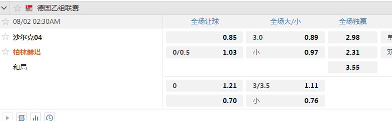 沙尔克04.jpg
