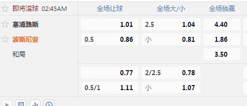 波斯尼亚.jpg