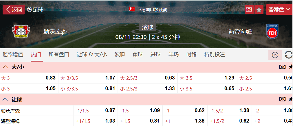勒沃库森.png